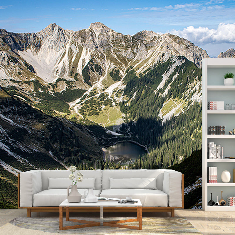 Mountain Scene Contemporary Style Mural Photography Living Room Wall Mural
