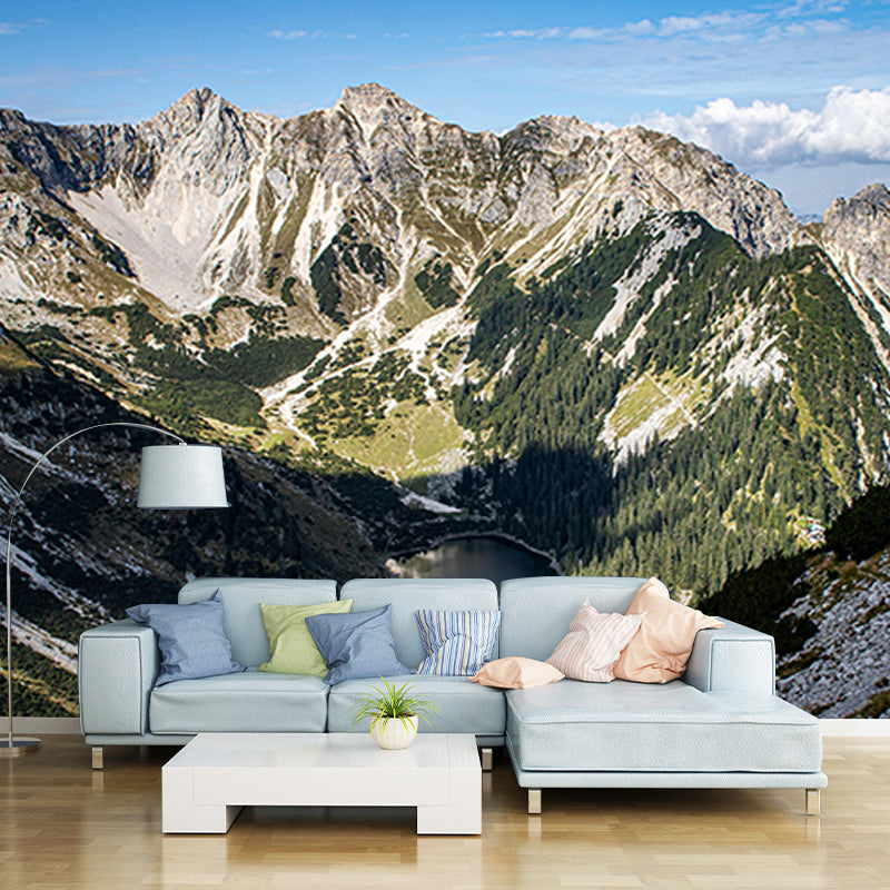 Mountain Scene Contemporary Style Mural Photography Living Room Wall Mural