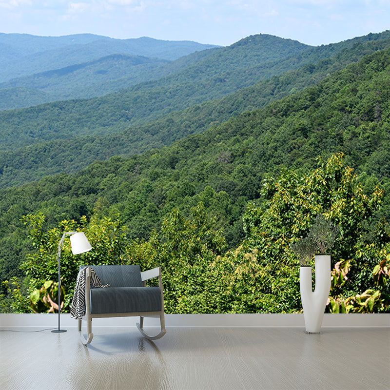 Snow Mountain Contemporary Style Mural Horizontal Photography Room Wall Mural