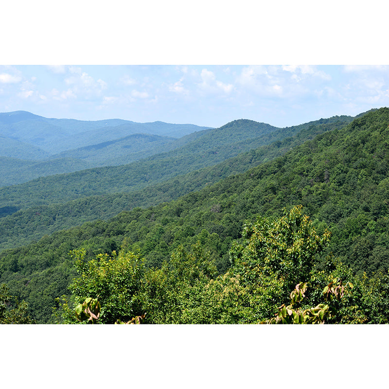 Snow Mountain Contemporary Style Mural Horizontal Photography Room Wall Mural