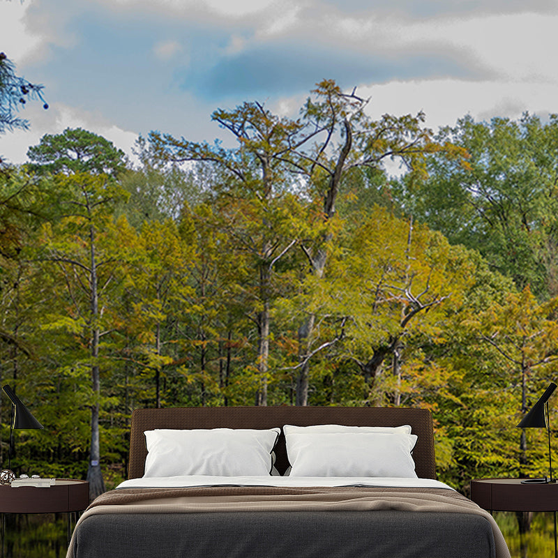 Autumn Forest Style Forest Mural Horizontal Photography Sleeping Room Wall Mural