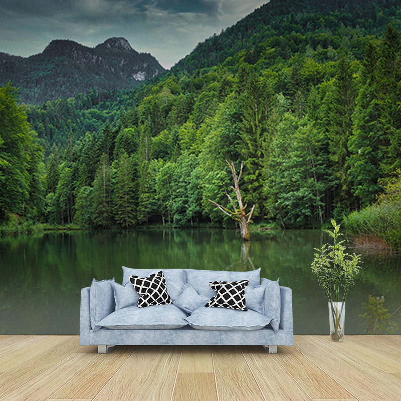 Mountain Forest Mural Horizontal Photography Sitting Room Wall Mural