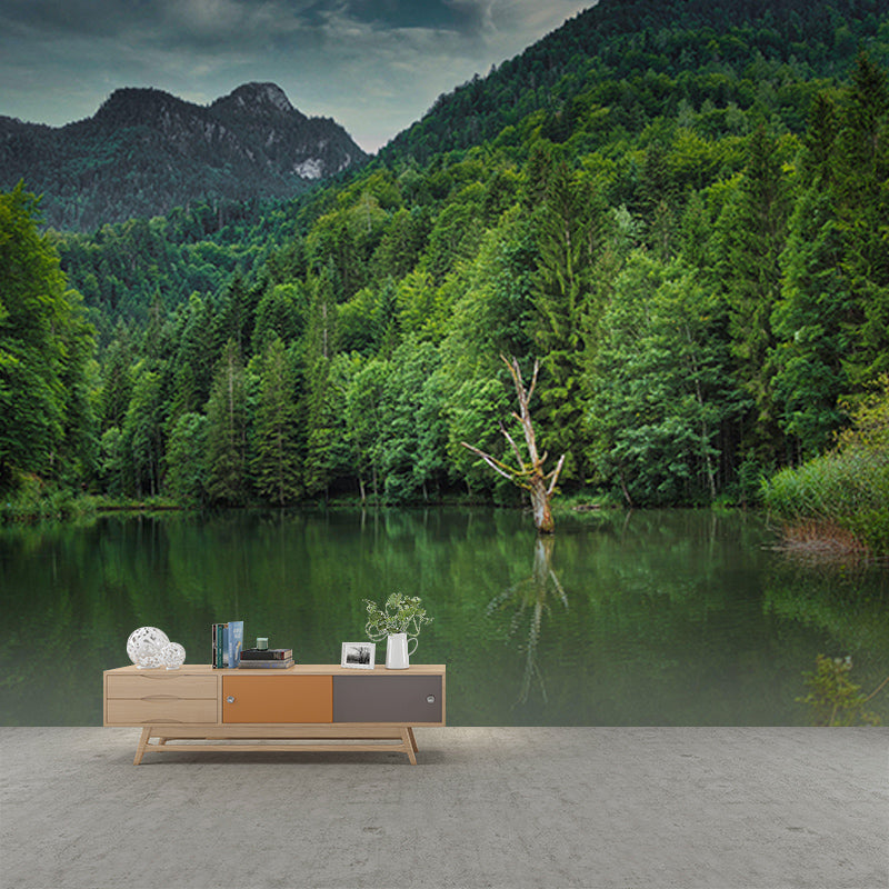 Mountain Forest Mural Horizontal Photography Sitting Room Wall Mural