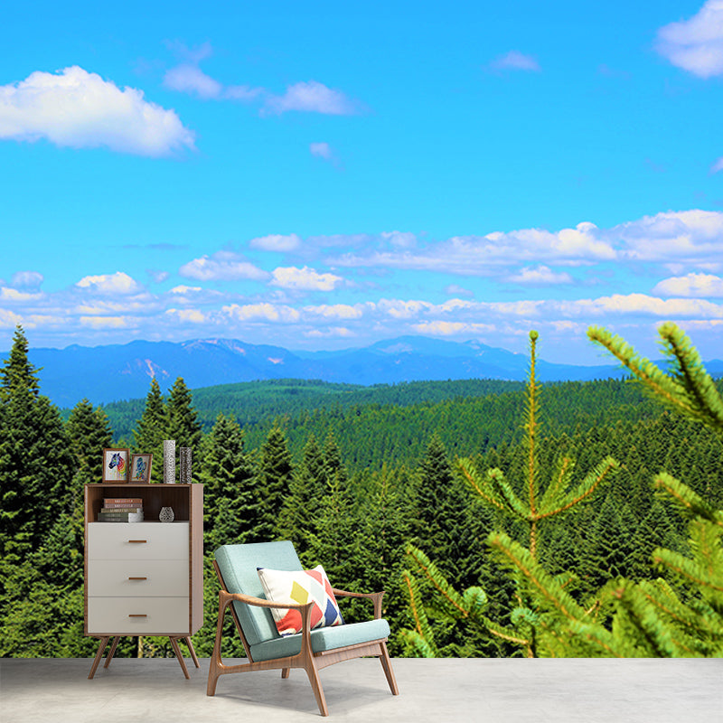 Forest Mountain Style Forest Mural Horizontal Photography Sitting Room Wall Mural