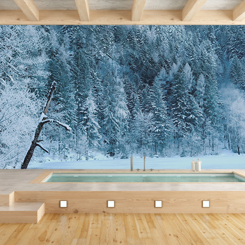 Natural Sky Forest Mural Horizontal Photography Room Wall Mural