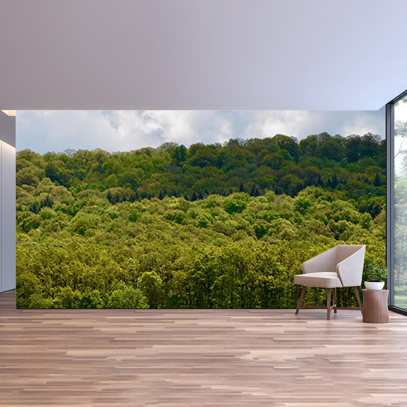 Natural Sky Forest Mural Horizontal Photography Room Wall Mural