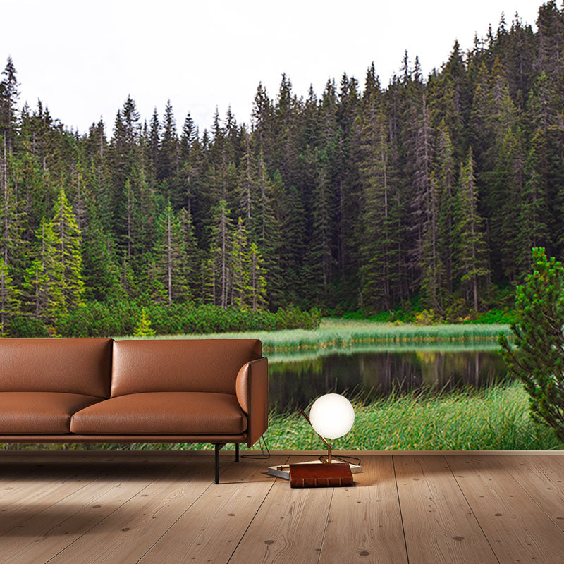 Forest 3D Print Contemporary Mural Horizontal Photography Bedroom Wall Mural