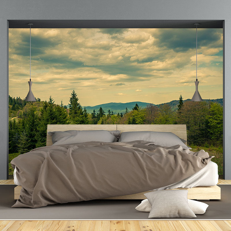 Forest 3D Print Contemporary Mural Horizontal Photography Bedroom Wall Mural