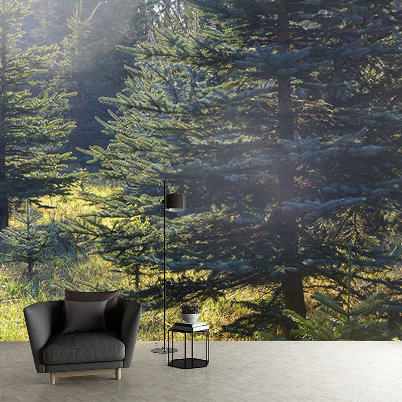 Contemporary Mountain Snow Forest Mural Horizontal Photography Living Room Wall Mural