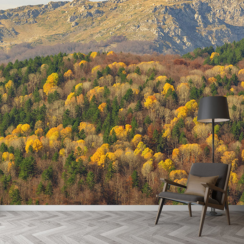 Natural Snow Style Forest Mural Horizontal Photography Bedroom Wall Mural