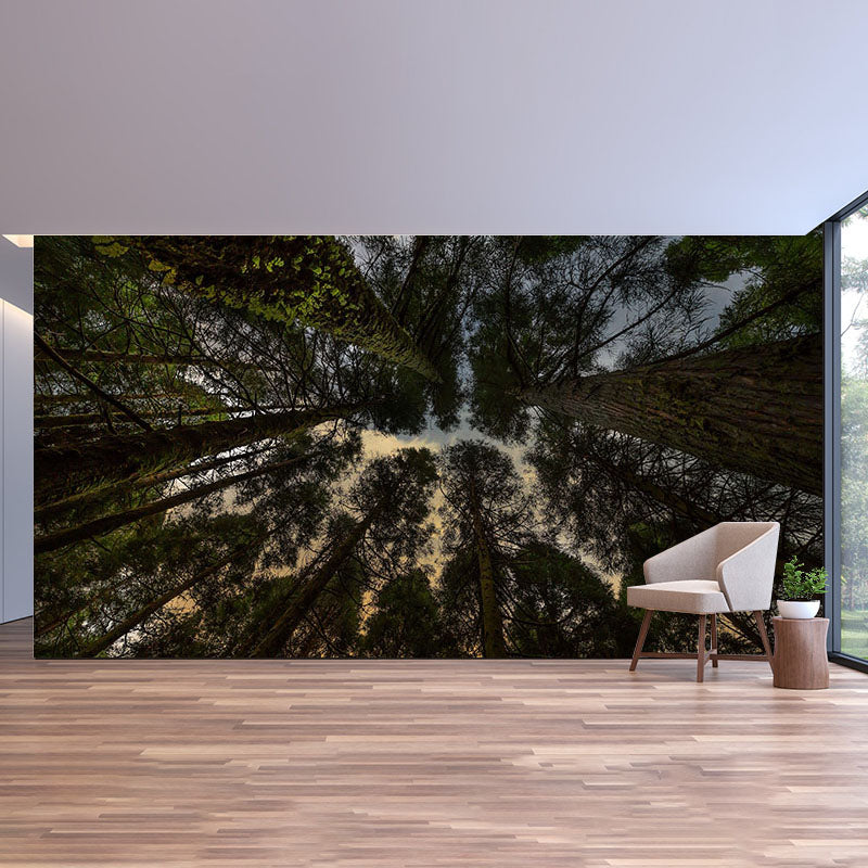 Natural Scene Contemporary Style Forest Mural Horizontal Photography Room Wall Mural