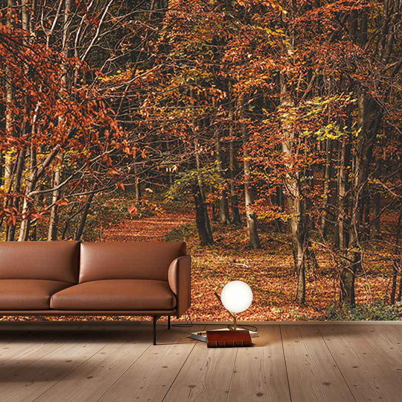 Natural Scene Contemporary Style Forest Mural Horizontal Photography Room Wall Mural