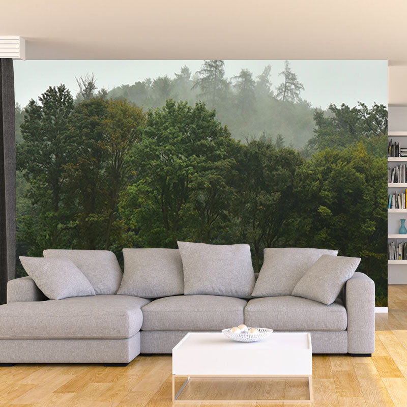 Contemporary Style Forest Mural Horizontal Photography Living Room Wall Mural