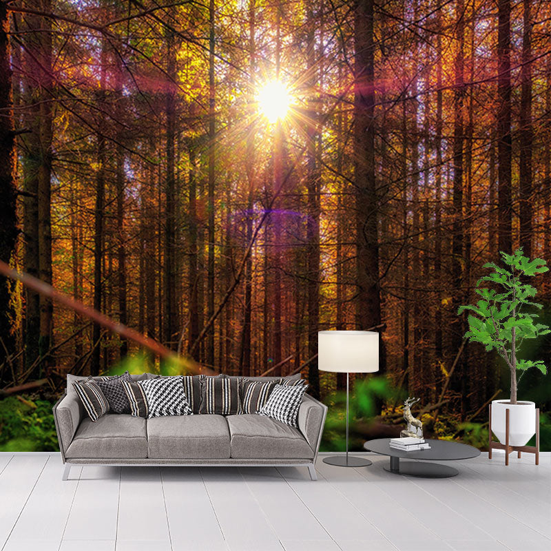 Contemporary Style Forest Mural Horizontal Photography Living Room Wall Mural