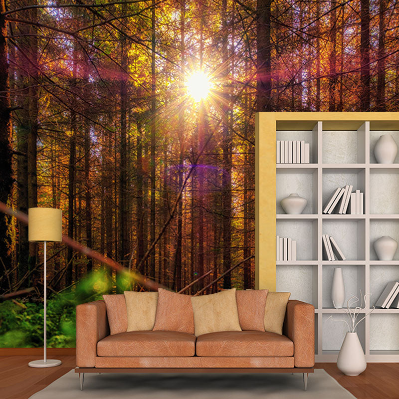 Contemporary Style Forest Mural Horizontal Photography Living Room Wall Mural