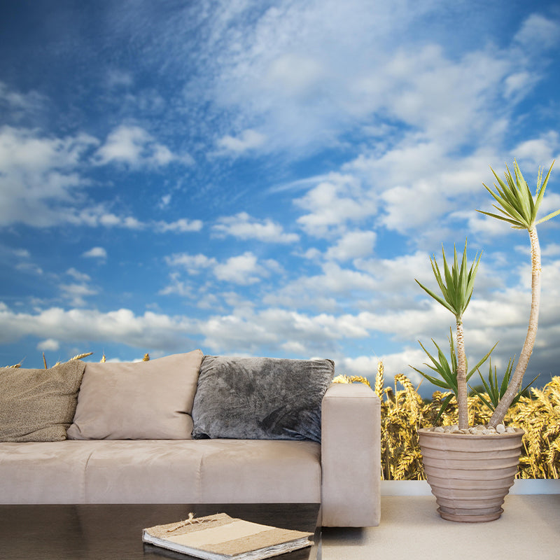 Sky Cloud Contemporary Style Sky Mural Mildew Resistant Wallpaper for Home Decor