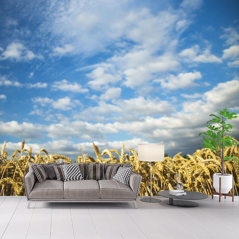 Sky Cloud Contemporary Style Sky Mural Mildew Resistant Wallpaper for Home Decor