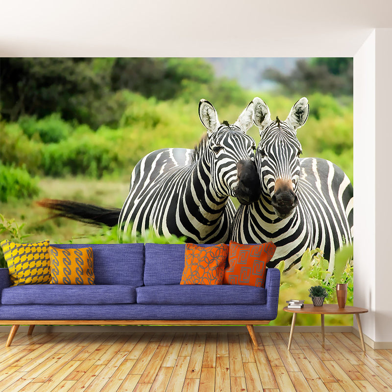 Zebra Wild Animal Contemporary Wall Mural Mildew Resistant Wallpaper for Living Room
