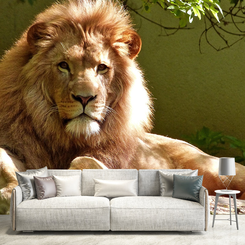 Zebra Wild Animal Contemporary Wall Mural Mildew Resistant Wallpaper for Living Room