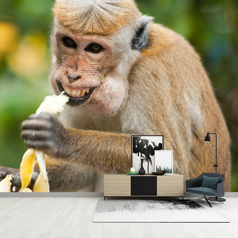 Elephant Wild Animal Contemporary Animal Mural Mildew Resistant Wallpaper for Bedroom