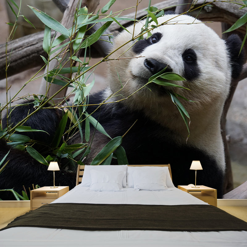 Elephant Wild Animal Contemporary Animal Mural Mildew Resistant Wallpaper for Bedroom