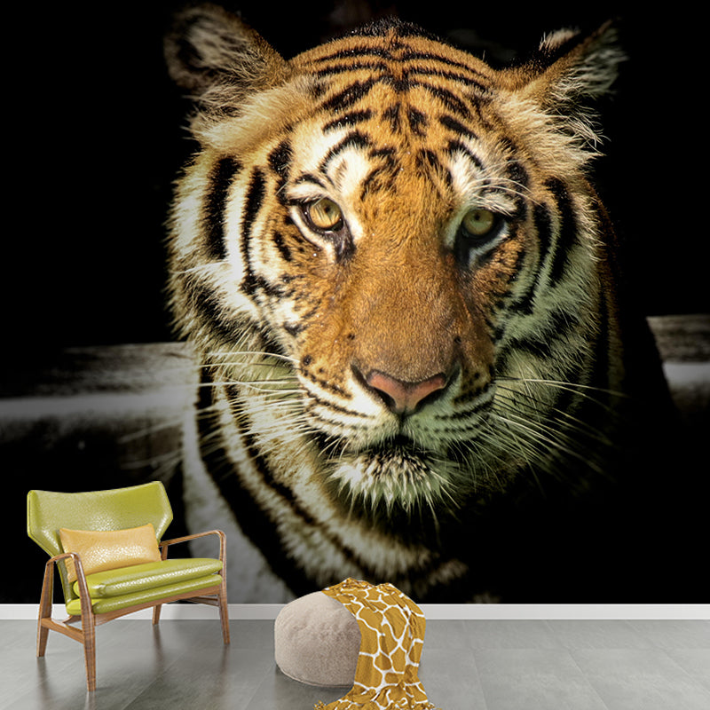 Lion Contemporary Wild Animal Wall Mural Mildew Resistant Wallpaper for Bedroom