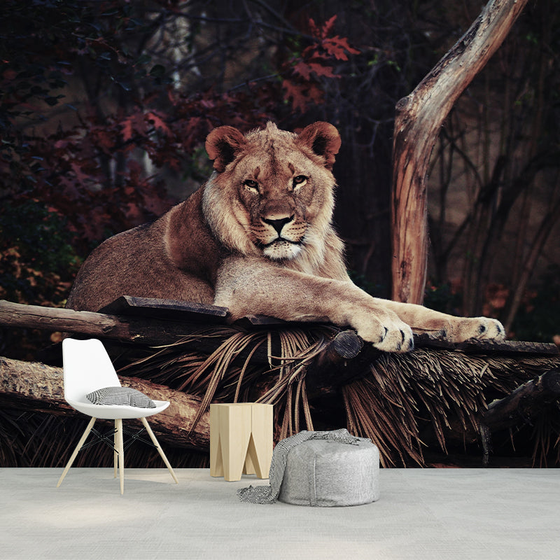 Lion Contemporary Wild Animal Wall Mural Mildew Resistant Wallpaper for Bedroom