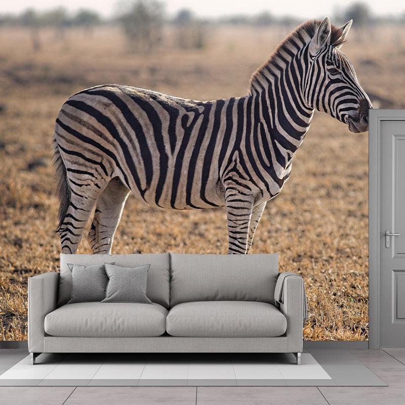 Zebra Customized Wild Animal Wall Mural Mildew Resistant Wallpaper for Room