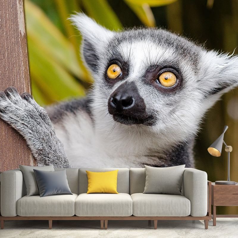 3D Print Leopard Contemporary Wild Animal Mural Mildew Resistant Wallpaper for Home