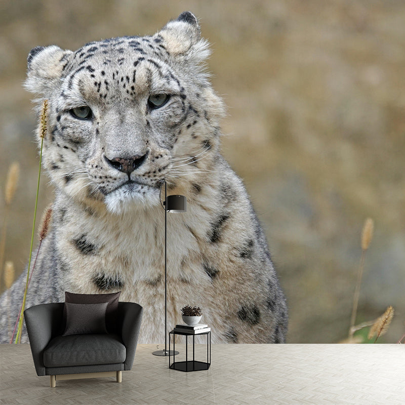 Leopard Contemporary Wild Animal Mural Mildew Resistant Wallpaper for Home Decor