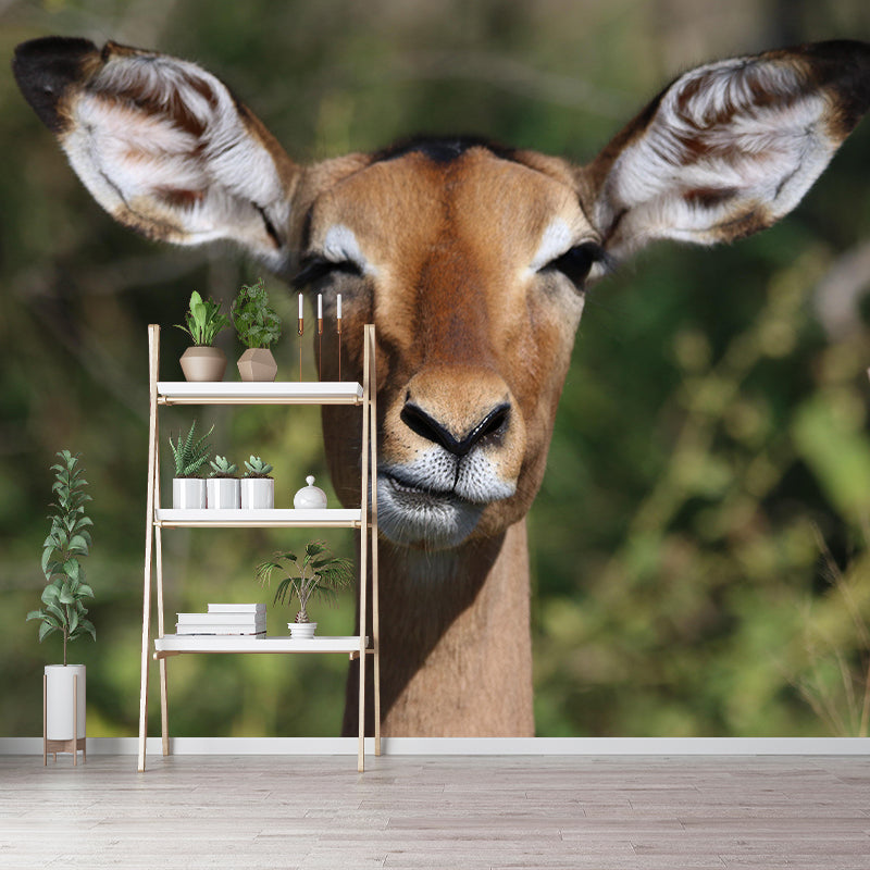 Leopard Contemporary Wild Animal Mural Mildew Resistant Wallpaper for Home Decor