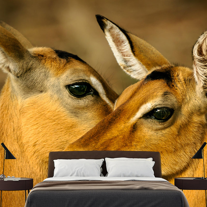 Leopard Contemporary Wild Animal Mural Mildew Resistant Wallpaper for Home Decor