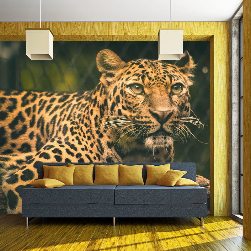 Leopard Contemporary Wild Animal Mural Mildew Resistant Wallpaper for Home Decor