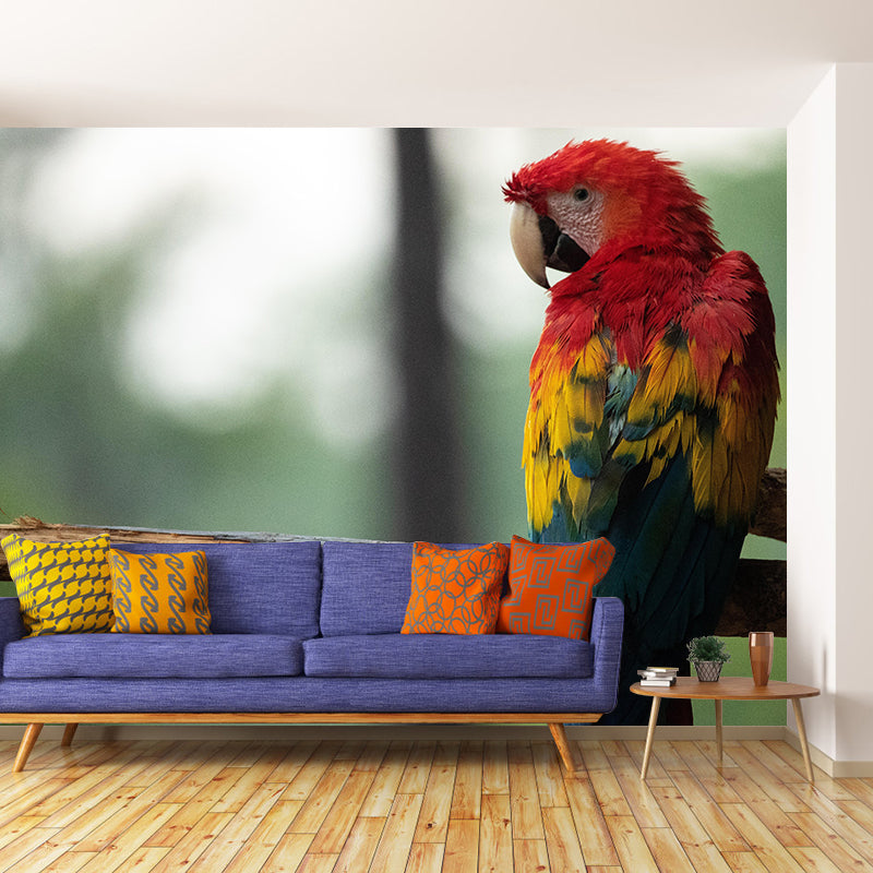 Natural Scene Customized Wild Animal Mural Mildew Resistant Wallpaper for Wall Decor