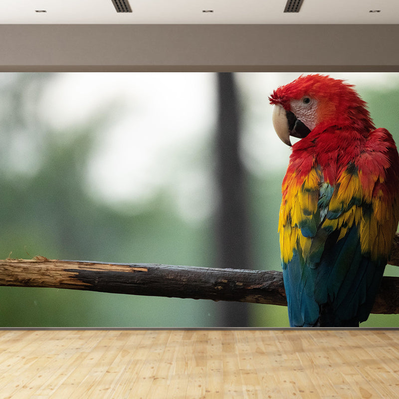 Natural Scene Customized Wild Animal Mural Mildew Resistant Wallpaper for Wall Decor