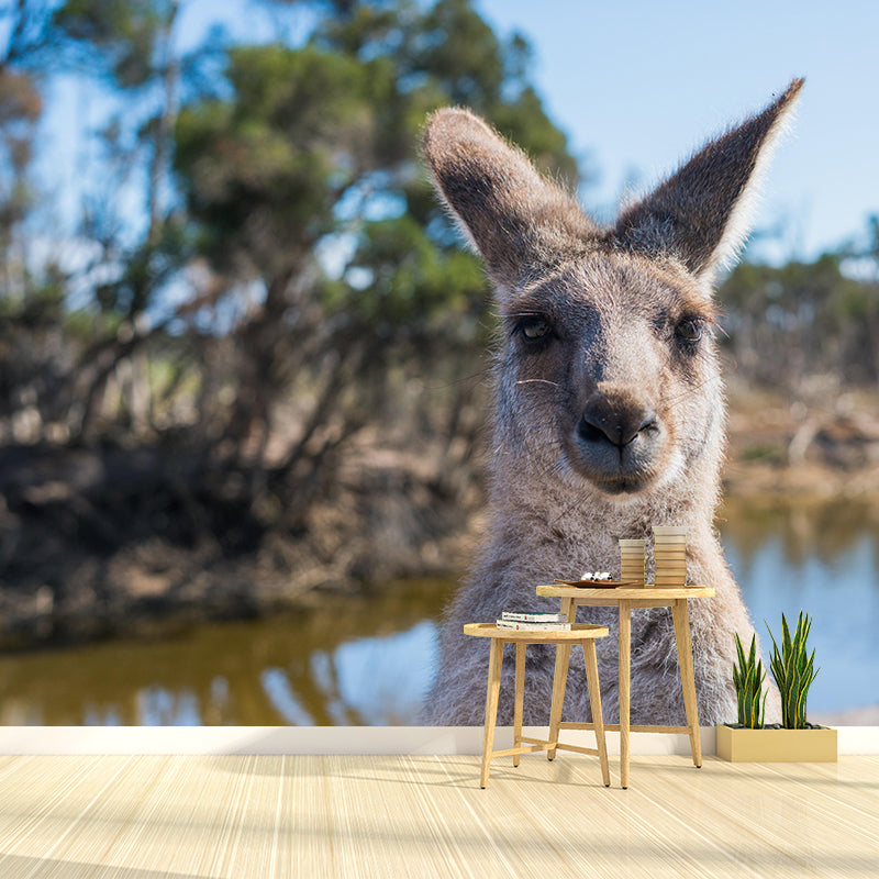 Wild Animal Wall Mural Contemporary Mildew Resistant Wallpaper for Home