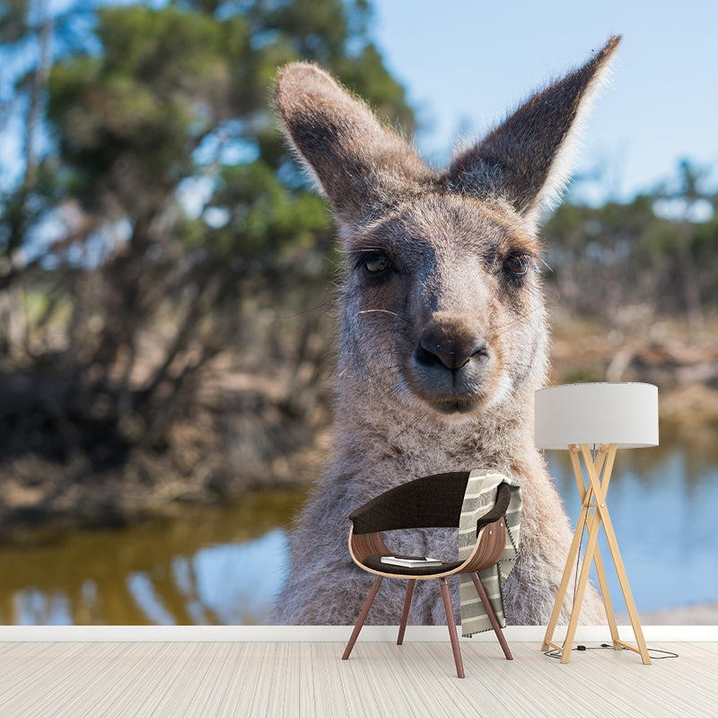 Wild Animal Wall Mural Contemporary Mildew Resistant Wallpaper for Home