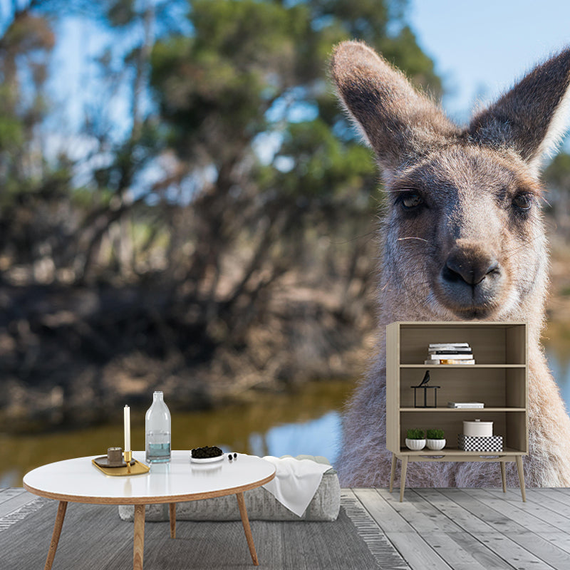 Wild Animal Wall Mural Contemporary Mildew Resistant Wallpaper for Home