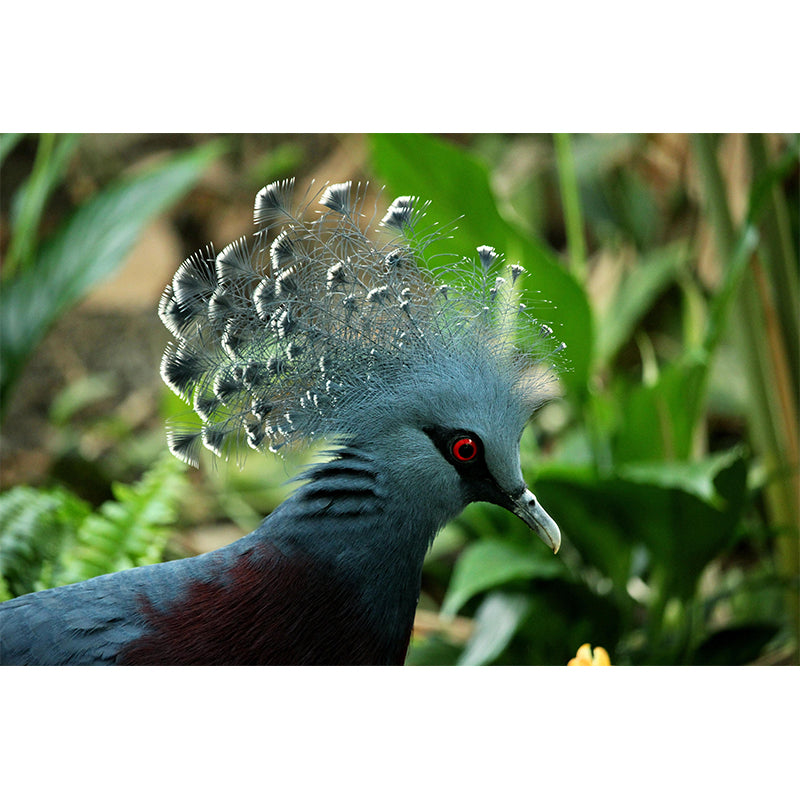 Mural Mildew Customized Wild Animal Wallpaper Resistant Wallpaper for Home Decor