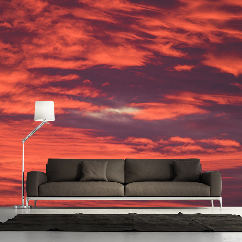 Mildew Resistant Sky Mural Contemporary Sleeping Room Wall Mural