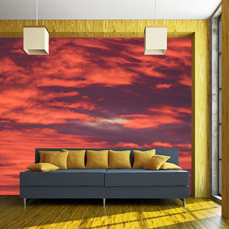 Mildew Resistant Sky Mural Contemporary Sleeping Room Wall Mural