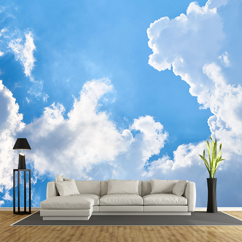 Mildew Resistant Sky Mural Contemporary Sleeping Room Wall Mural