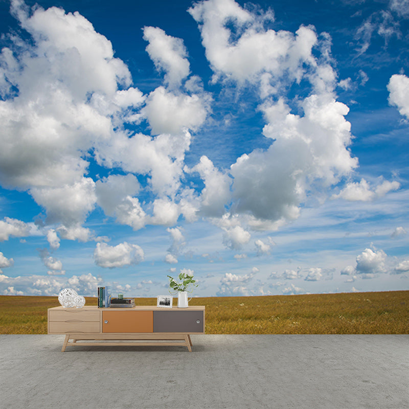 Customized Sky Wall Mural Photography Sleeping Room Wall Mural