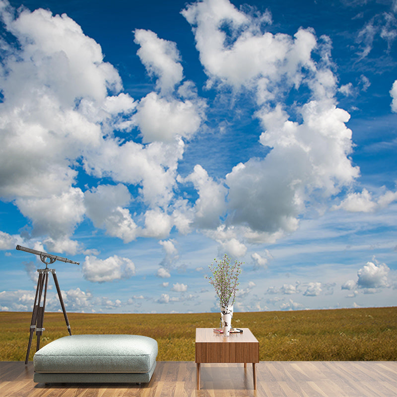 Customized Sky Wall Mural Photography Sleeping Room Wall Mural