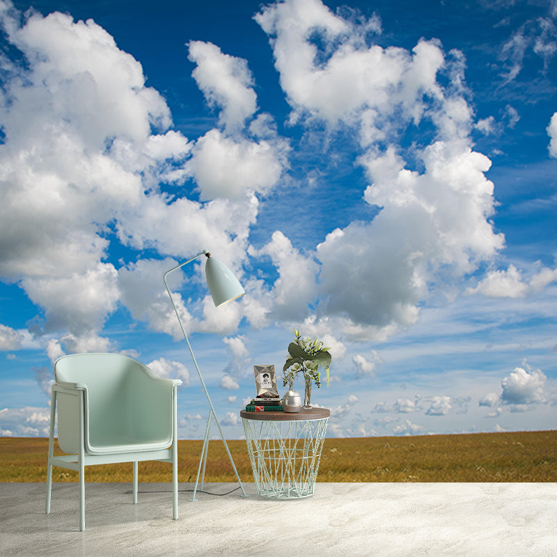 Customized Sky Wall Mural Photography Sleeping Room Wall Mural