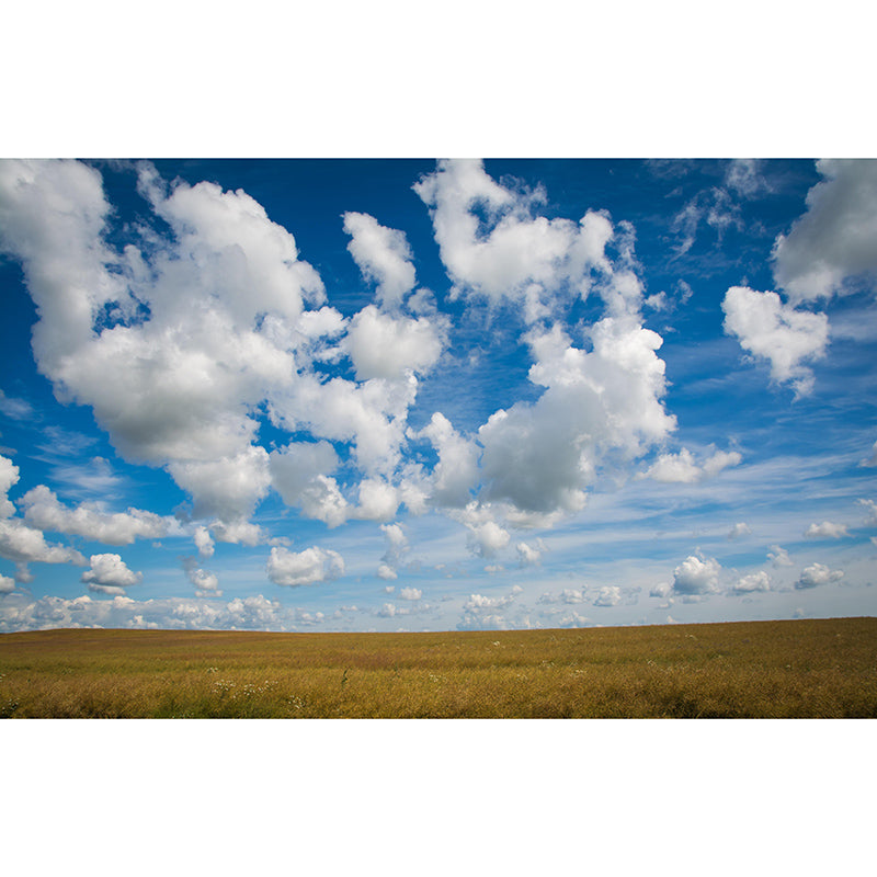 Customized Sky Wall Mural Photography Sleeping Room Wall Mural