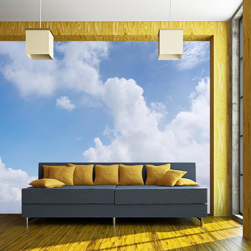 Sitting Room Wall Mural Mildew Resistant Sky Mural Photography