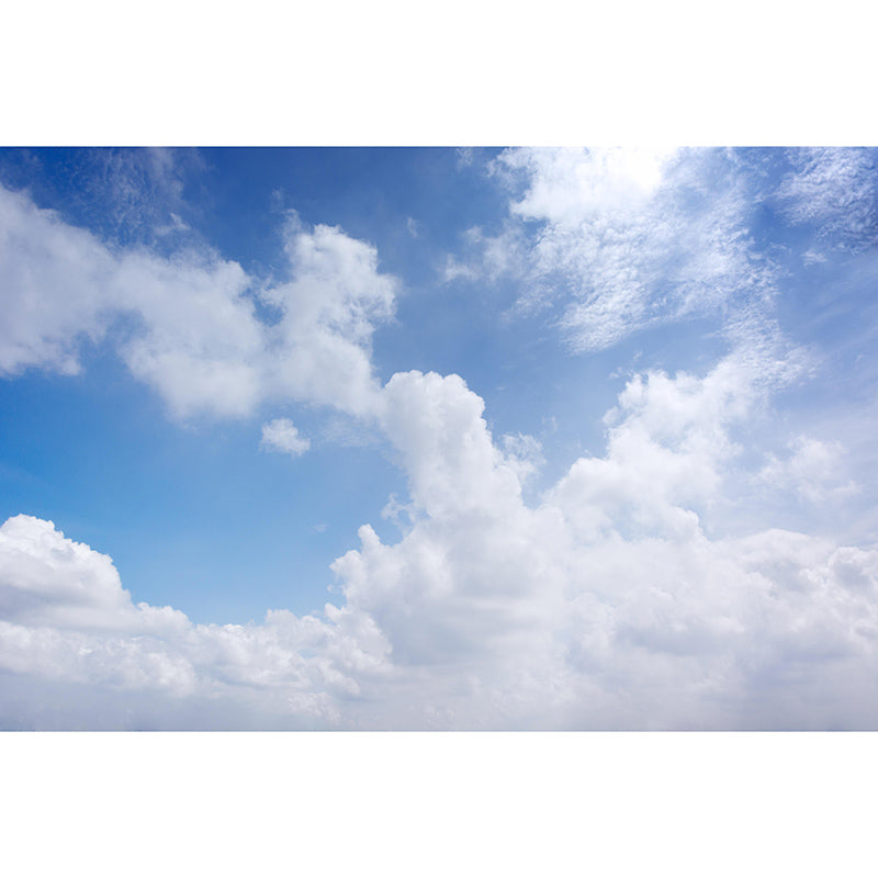 Sitting Room Wall Mural Mildew Resistant Sky Mural Photography