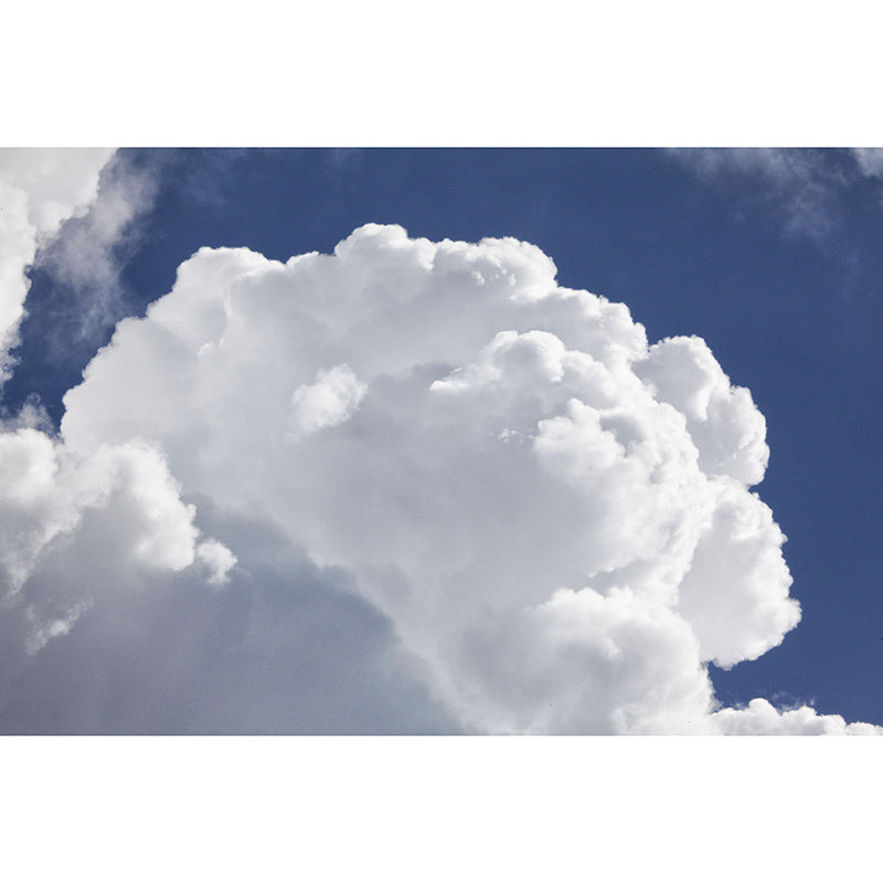 Photography Mildew Resistant Sky Mural Living Room Wall Mural