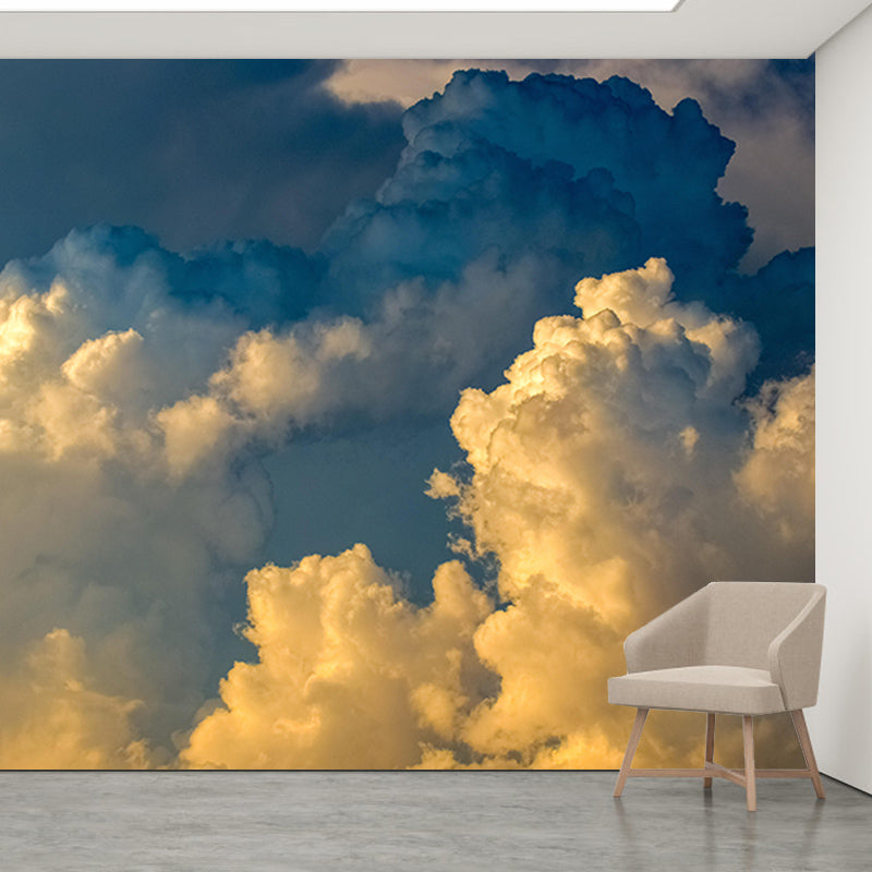 Living Room Contemporary Mildew Resistant Sky Mural Photography Wall Mural